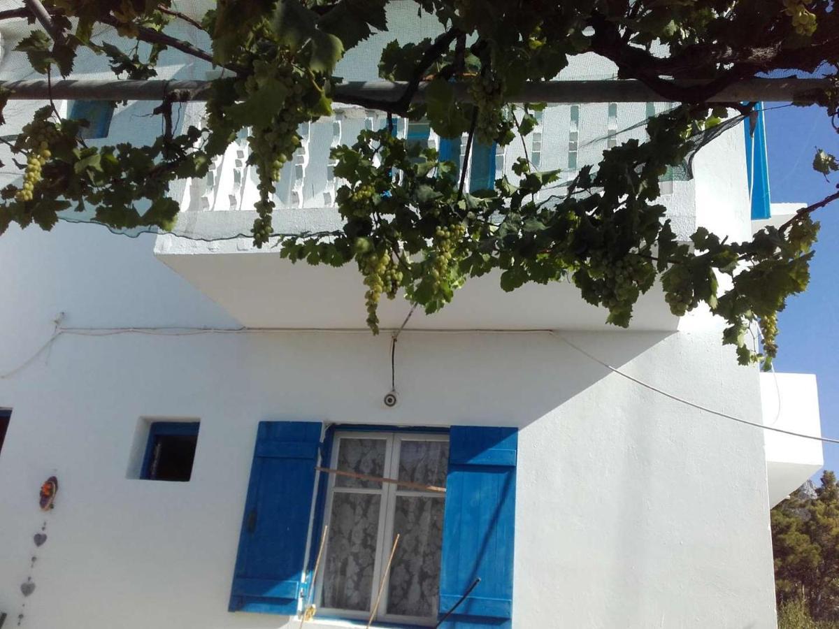 Nikos Apartments Lefkósz Karpáthu Kültér fotó